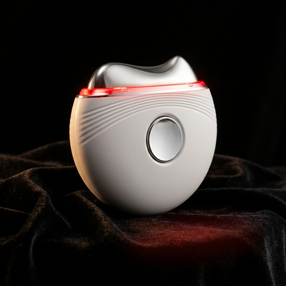 Electric EMS Gua Sha Massager